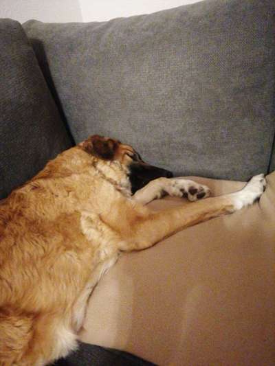 Schmerzen-Beitrag-Bild