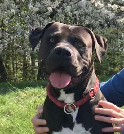 Fotochallange Nr. 57     PORTRÄT.   Beendet!!!!!!!!-Beitrag-Bild