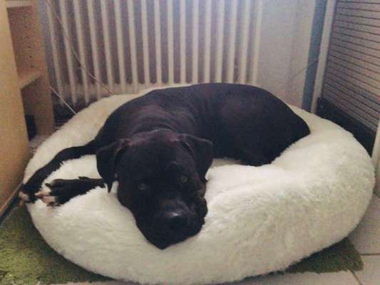 Erfahrung mit Wolkenbett-Beitrag-Bild