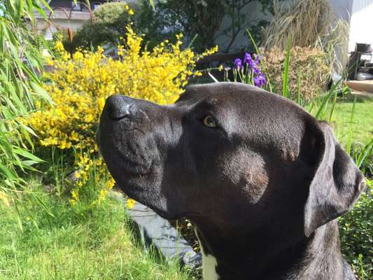 Lieblingsbild-Beitrag-Bild