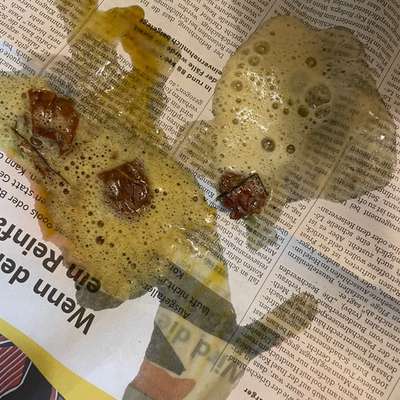 Giftköder-Möglicherweise Gift-Bild