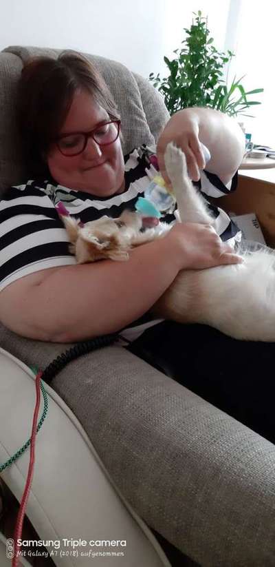 Balu trinkt momentan nicht viel-Beitrag-Bild