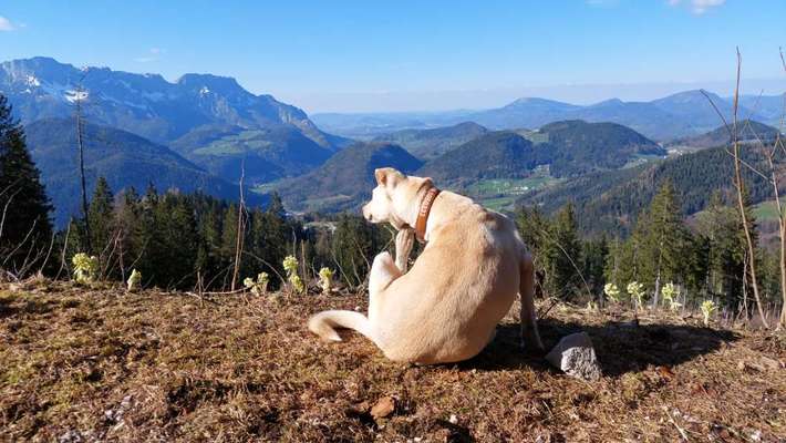 Fotochallenge Nr 107-Beitrag-Bild