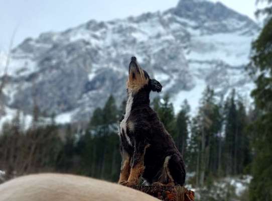 Fotochallenge Nr 107-Beitrag-Bild