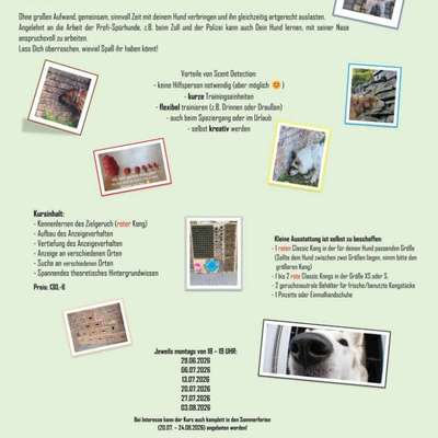 %{de_profession_title}-Scent Detection-Bild