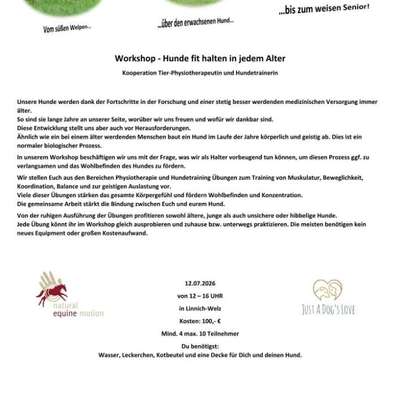 %{de_profession_title}-Workshop 12.07.2026-Bild