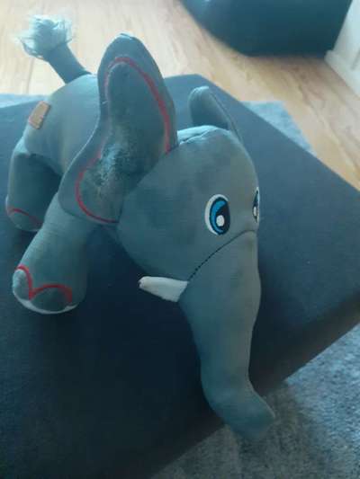 Ich hätte da mal eine Frage.....-Beitrag-Bild