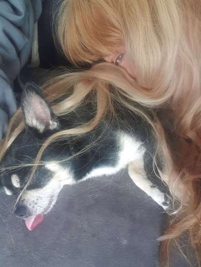 Dogorama Photo Challenge - Selfie Time!-Beitrag-Bild