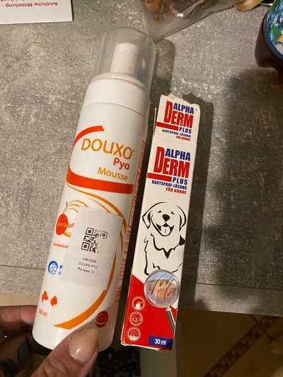 Samojede-Beitrag-Bild