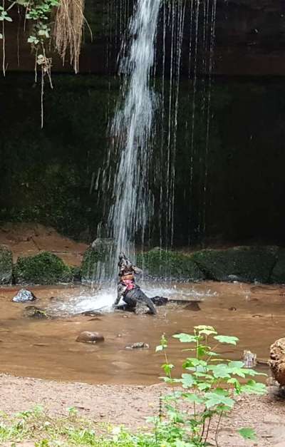 Dogorama-Monats-Challenge-Mai "Wasser"-Beitrag-Bild