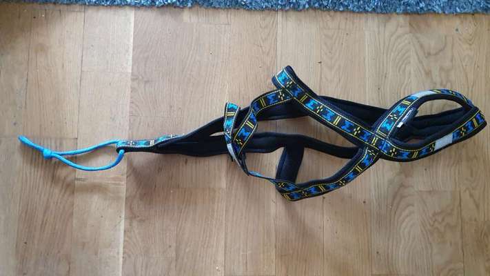 Das passende Brustgeschirr-Beitrag-Bild