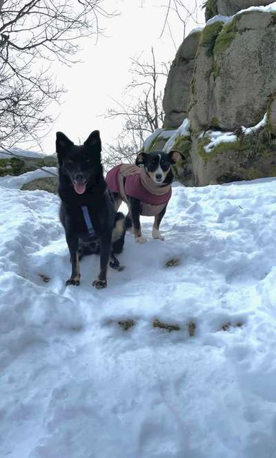 Lieblings Fotos-Beitrag-Bild