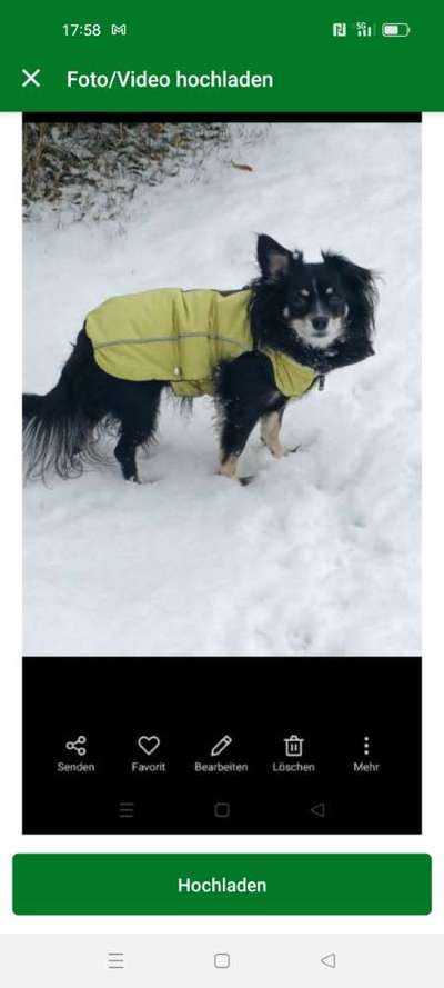 Verspielt-Beitrag-Bild