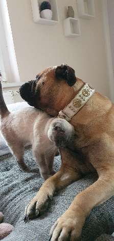 CHALLENGE Nr.17-Beitrag-Bild