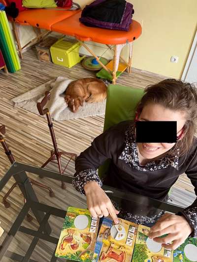 Bürohunde-Beitrag-Bild