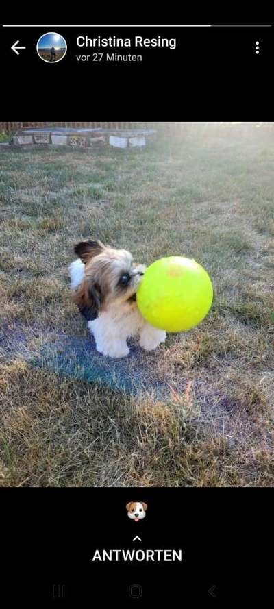 Handy-Foto Challange Nr. 10-Beitrag-Bild