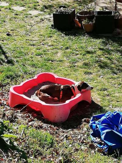 11. Farben Foto Challenge Rot-Beitrag-Bild