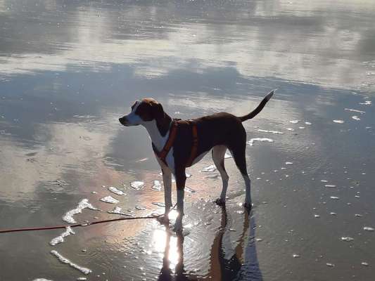 Farben Fotochallenge Sonnenlicht-Beitrag-Bild