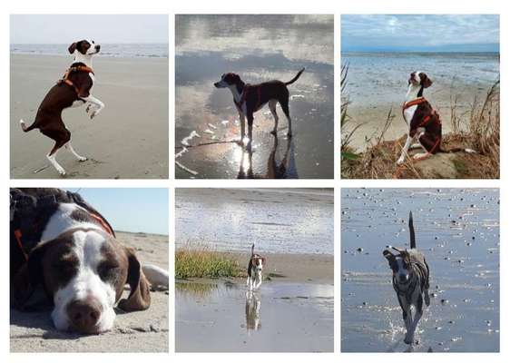 37. Collagen Challenge- Am Strand-Beitrag-Bild