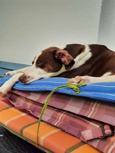 Foto Challenge Nr. 134-Beitrag-Bild