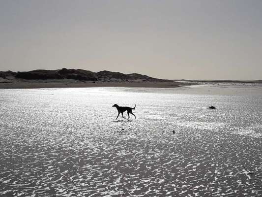 13. Farben-Fotochallenge "Grau"-Beitrag-Bild