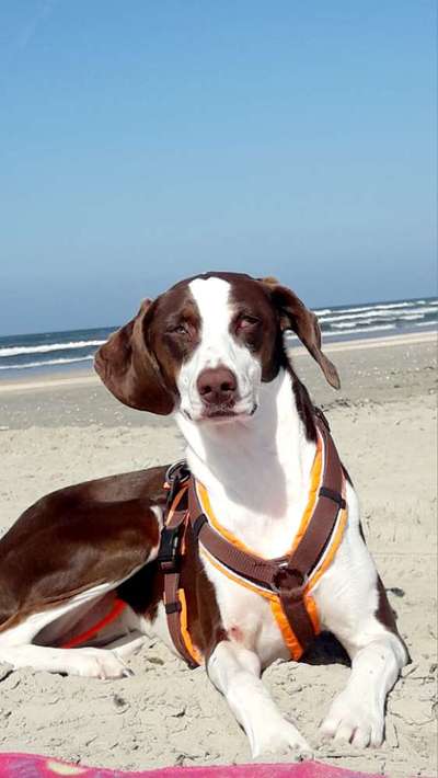 10. Farben Foto-Challenge ---- Blau-Beitrag-Bild