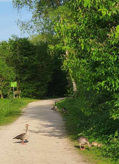 Brut und Setzzeit-Beitrag-Bild