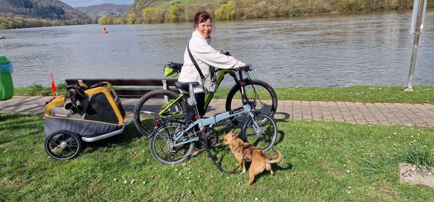 Befestigung am Rad "Fahrradleine"-Beitrag-Bild