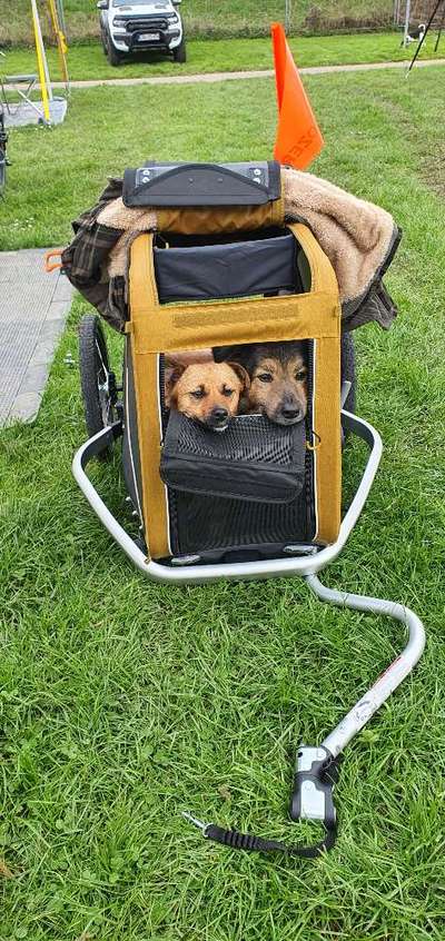 Mit Fahrradanhänger unterwegs?-Beitrag-Bild