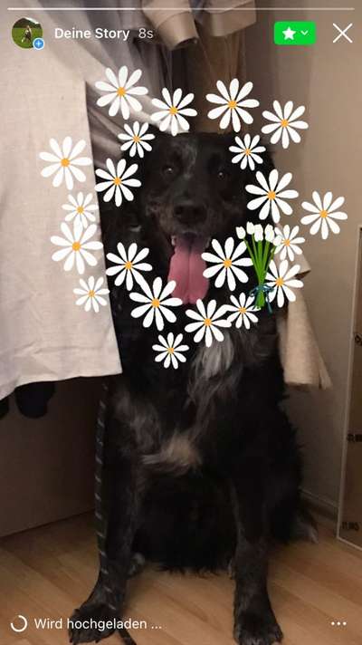 14. Farbenfoto-Challenge "Weiss"-Beitrag-Bild