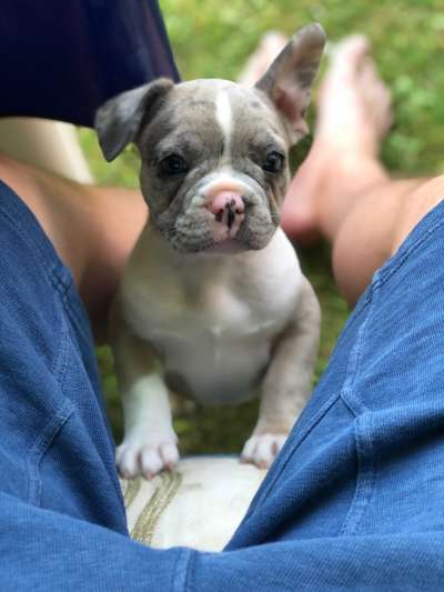 Das erste Foto-Beitrag-Bild