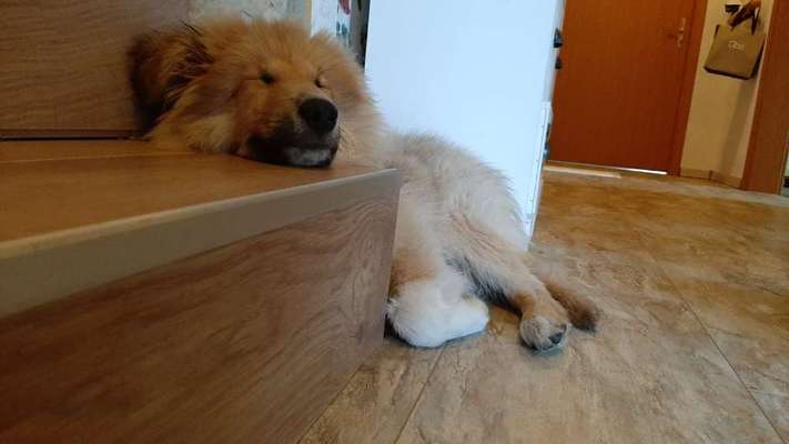 Lieblingsbild-Beitrag-Bild