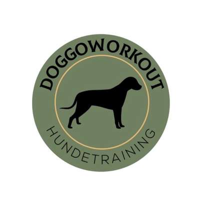 Hundeschulen-Hundetraining Doggoworkout Andrea Paulus-Bild