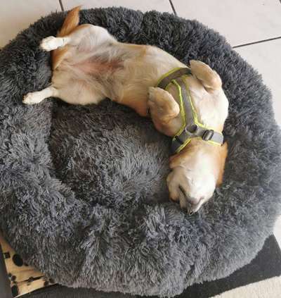 Foto Challange Nr.80-Beitrag-Bild