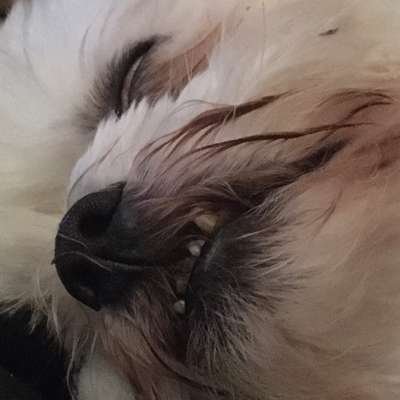 Blick fürs Detail!-Beitrag-Bild