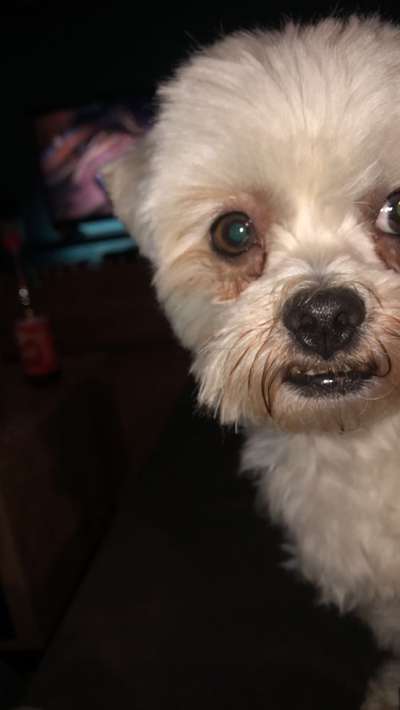 Fotochallange Nr. 57     PORTRÄT.   Beendet!!!!!!!!-Beitrag-Bild