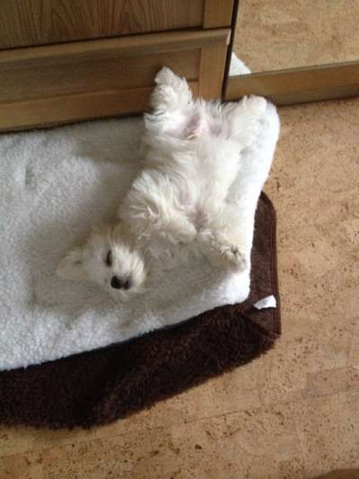 Fotochallenge Nr.65-Beitrag-Bild