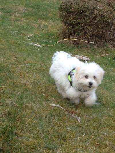 Un...scharf Bilder-Beitrag-Bild