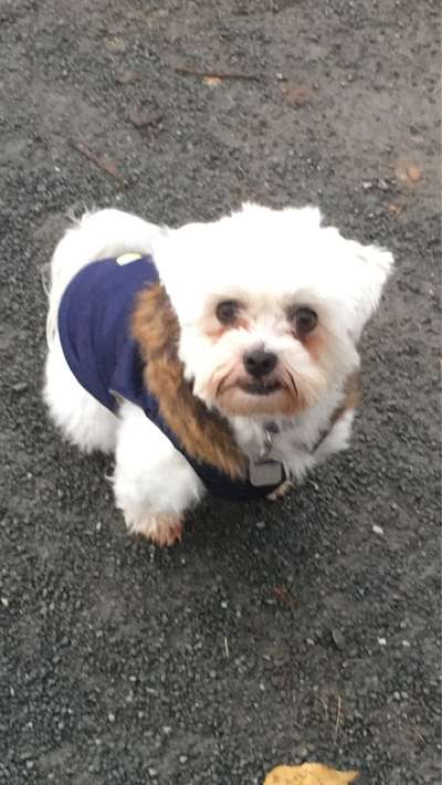 Lieblingsbild :D-Beitrag-Bild