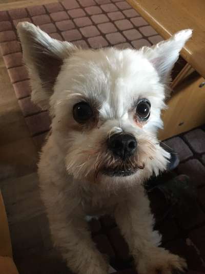 Lieblingsbild :D-Beitrag-Bild