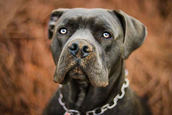 Lieblingsbild-Beitrag-Bild