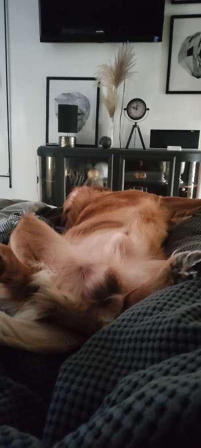 Die unbequemsten und lustigsten Schlafpositionen-Beitrag-Bild