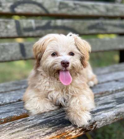 Doppelgänger gesucht !-Beitrag-Bild