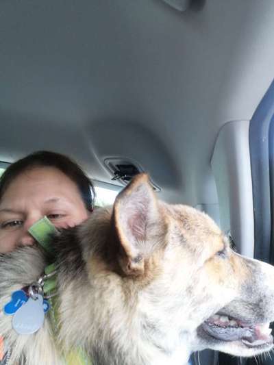 Auslandstierschutz-Beitrag-Bild