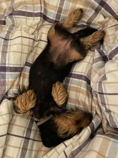 Die unbequemsten und lustigsten Schlafpositionen-Beitrag-Bild