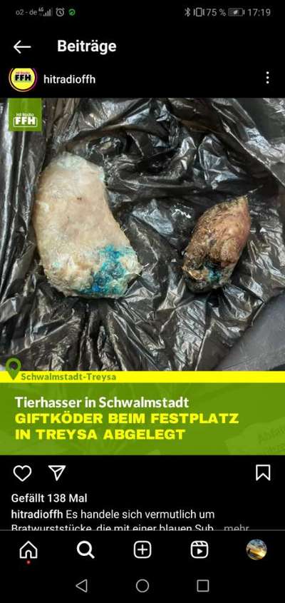Giftköder-Giftköder in Schwalmstadt, Treysa-Bild