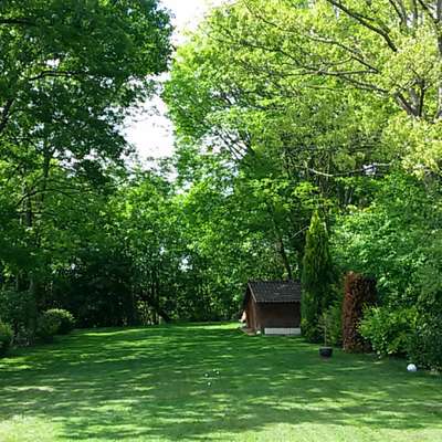 Hundetreffen-Spiel-Treffen (Letter)-Bild