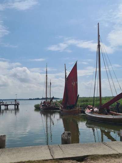 Hundeurlaub In Deutschland-Beitrag-Bild