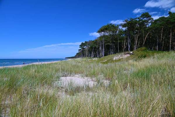 Hundeurlaub In Deutschland-Beitrag-Bild