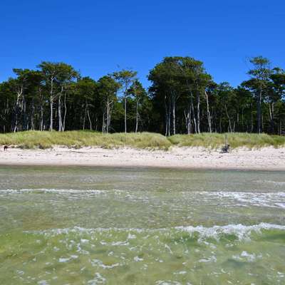 Hundeurlaub In Deutschland-Beitrag-Bild